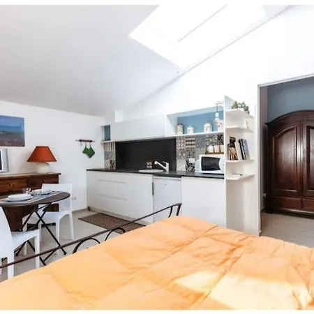 Apartment Shell Maqueda