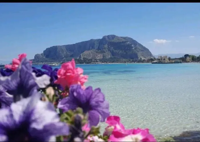 Shell Maqueda Lejlighed