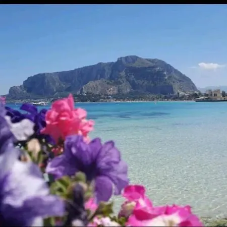 Shell Maqueda Lägenhet